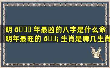 明 🐎 年最凶的八字是什么命（明年最旺的 🐡 生肖是哪几生肖）